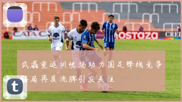 武磊重返训练场助力国足锋线竞争格局再度洗牌引发关注