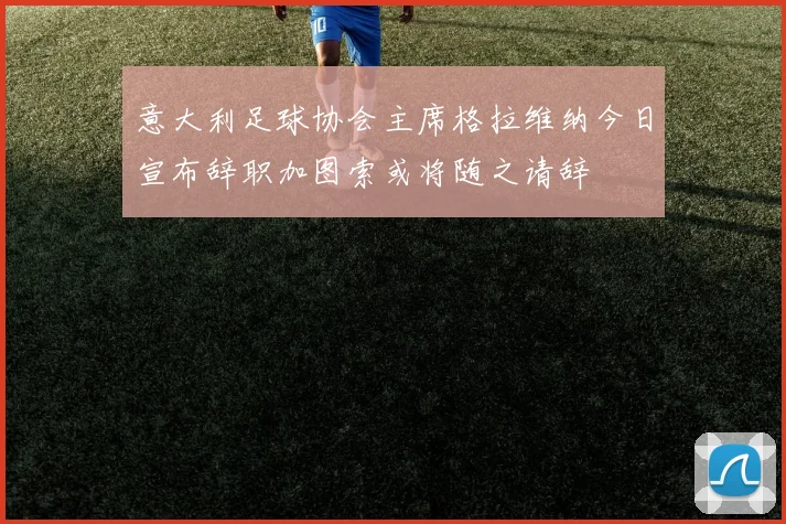 意大利足球协会主席格拉维纳今日宣布辞职加图索或将随之请辞