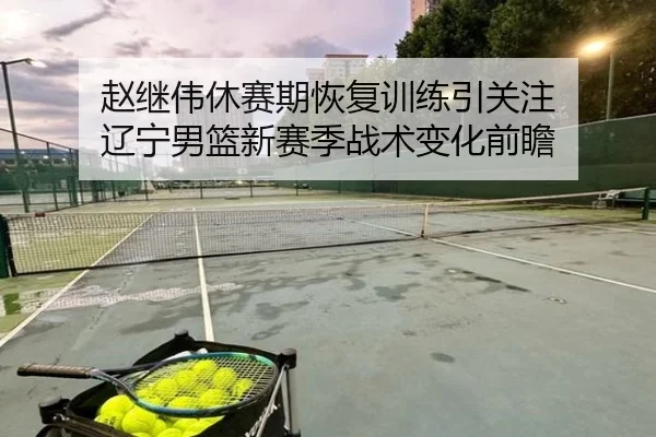 赵继伟休赛期恢复训练引关注 辽宁男篮新赛季战术变化前瞻